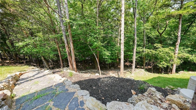 view of yard featuring a view of trees