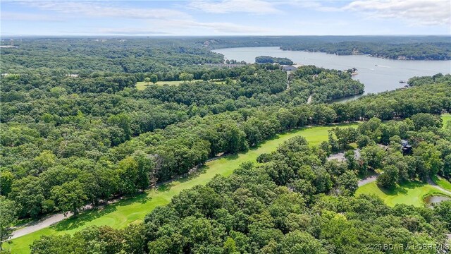 399 W End Cir, Osage Beach, MO 65065 - bird's eye view of a nearby body of water and a heavily wooded area
