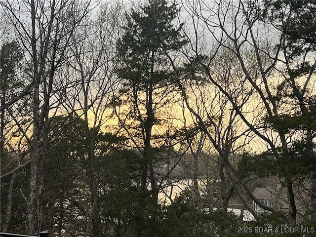 399 W End Cir, Osage Beach, MO 65065 - water view