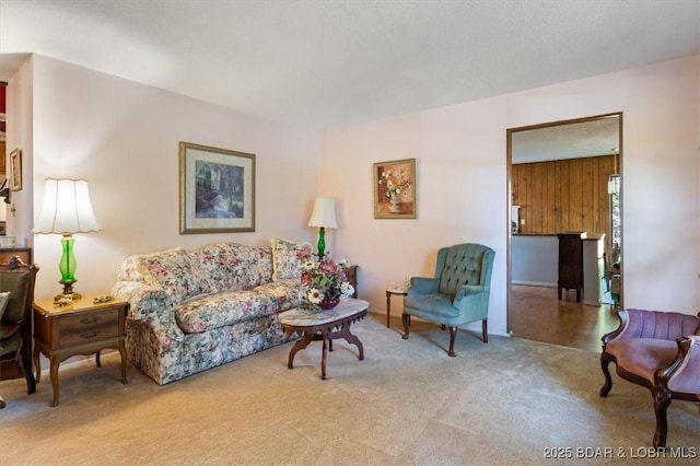 192 Mayfair Dr, Camdenton, MO 65020 - living room with carpet flooring