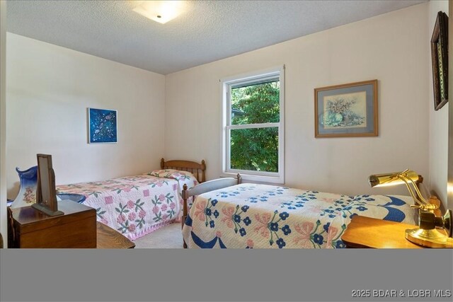 192 Mayfair Dr, Camdenton, MO 65020 - carpeted bedroom with a textured ceiling