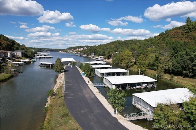 bird's eye view with a water view and a forest view