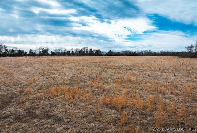 Listing photo 3 for Ponder Slab Rd, Iberia MO 65486