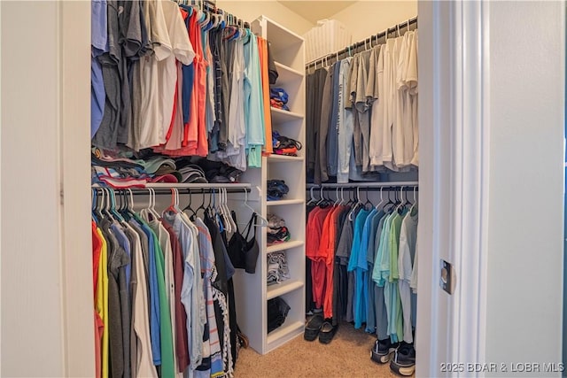 walk in closet with carpet floors