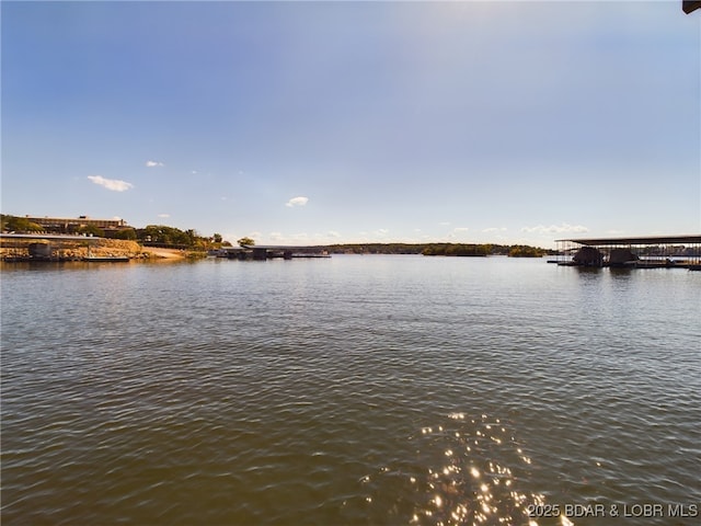 water view featuring a boat dock