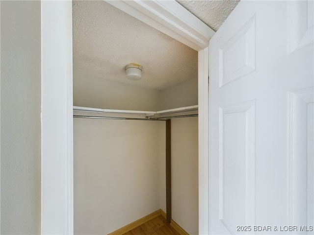 spacious closet featuring wood finished floors