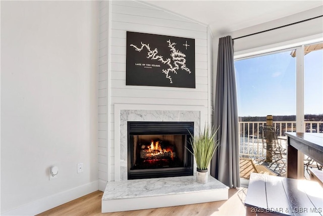 room details featuring a premium fireplace, baseboards, and wood finished floors