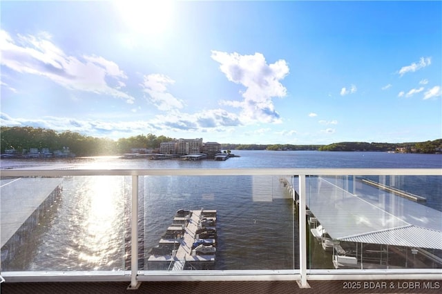 dock area with a water view