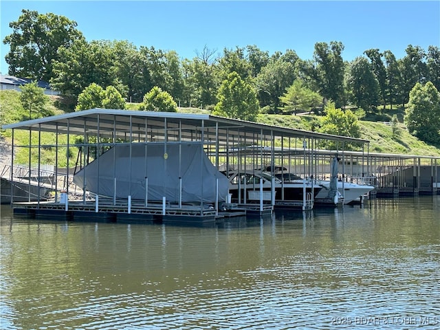 dock area with a water view