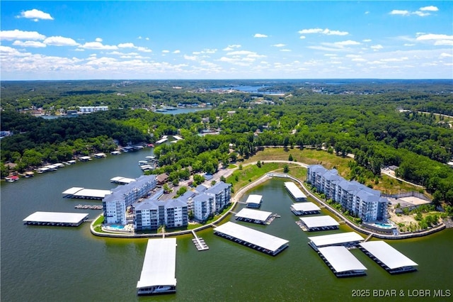 aerial view with a water view and a wooded view