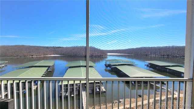 view of water feature with a dock and a wooded view