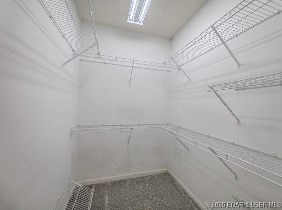 spacious closet featuring carpet flooring