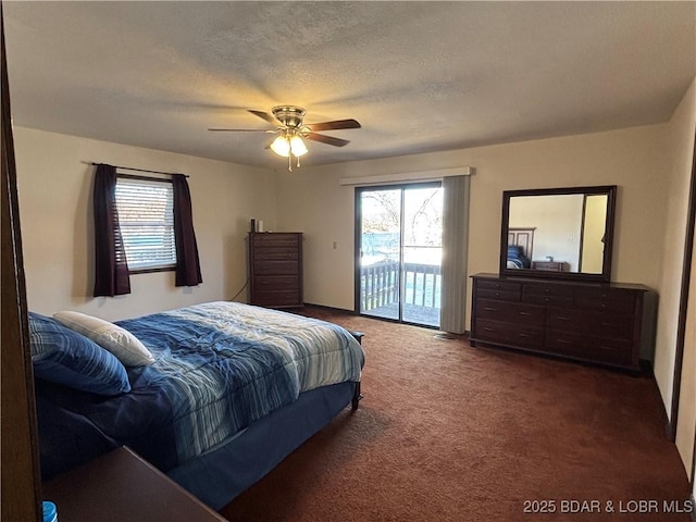 bedroom featuring access to exterior, multiple windows, carpet floors, and a textured ceiling