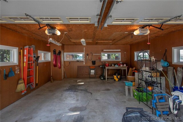 136 Rambling Acres Dr, Gravois Mills, MO 65037 - garage featuring visible vents, a workshop area, and a garage door opener