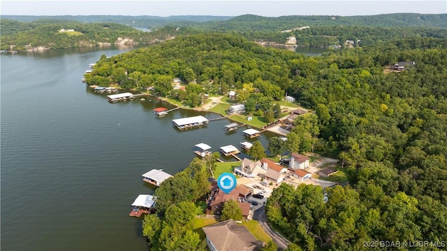 bird's eye view with a water view and a view of trees