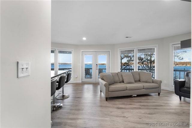 living area with french doors, a wealth of natural light, and light wood-style floors