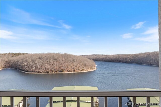 water view featuring a heavily wooded area