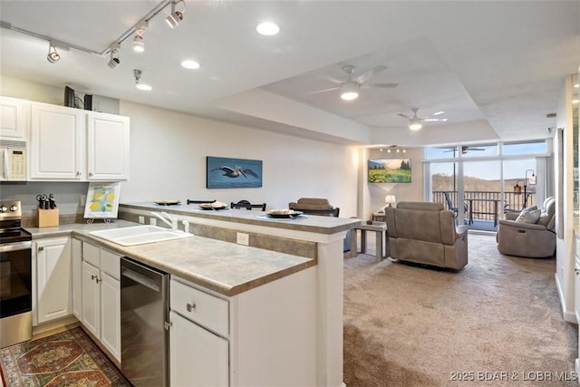 kitchen featuring stainless steel appliances, a peninsula, a ceiling fan, a sink, and a raised ceiling