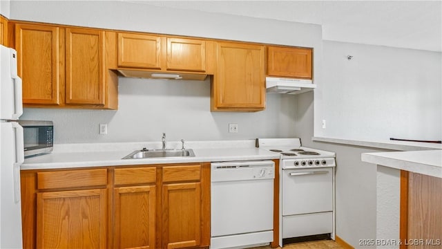 kitchen with white appliances, brown cabinetry, light countertops, under cabinet range hood, and a sink