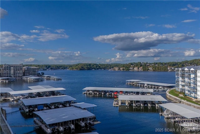 view of water feature featuring a dock