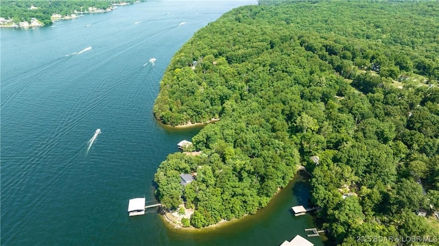 TBD Chestnut Rd, Sunrise Beach, MO 65079 - photo 9