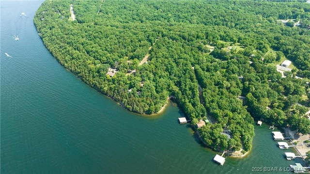 TBD Chestnut Rd, Sunrise Beach, MO 65079 - photo 10