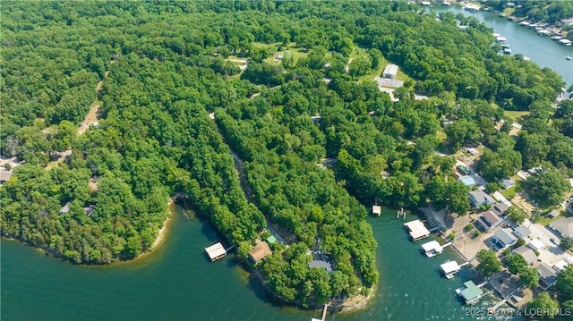 TBD Chestnut Rd, Sunrise Beach, MO 65079 - photo 11