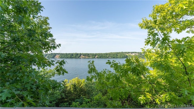 water view