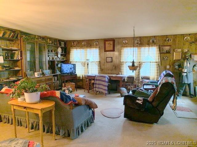 living room with carpet and wood walls