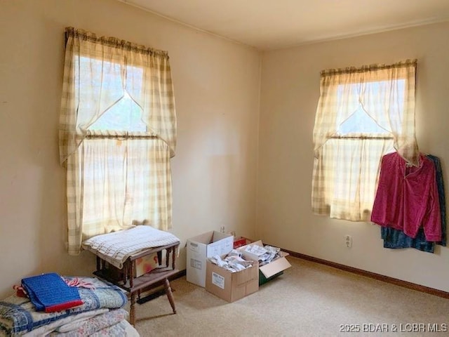 bedroom with baseboards and carpet flooring