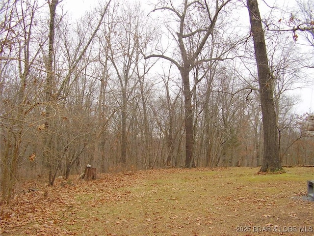 view of nature with a view of trees