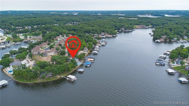 drone / aerial view featuring a water view and a view of trees