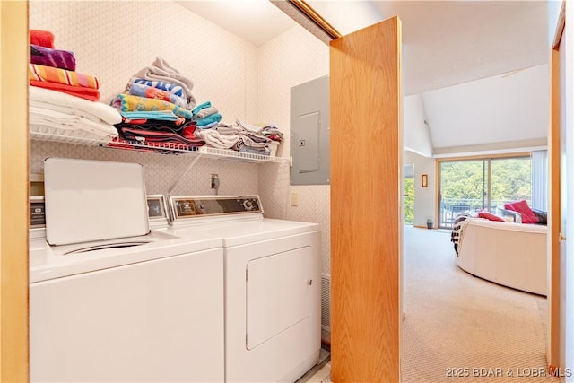 laundry area featuring wallpapered walls, laundry area, electric panel, carpet flooring, and separate washer and dryer