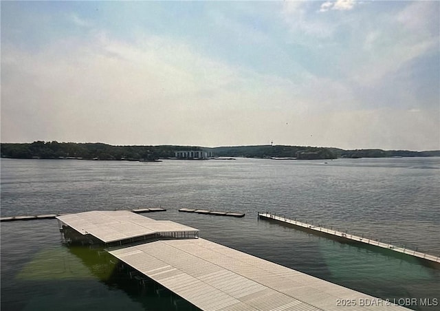 dock area featuring a water view