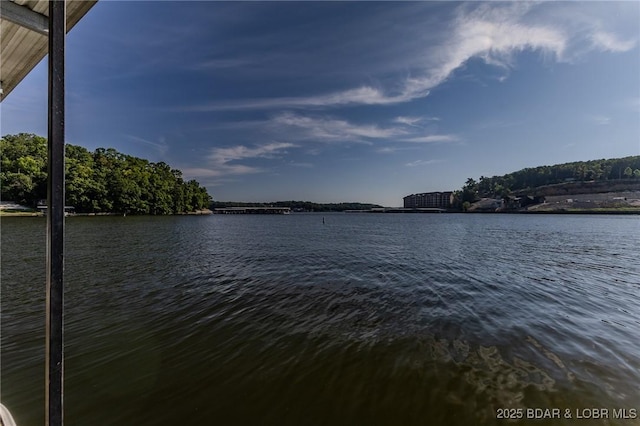 property view of water