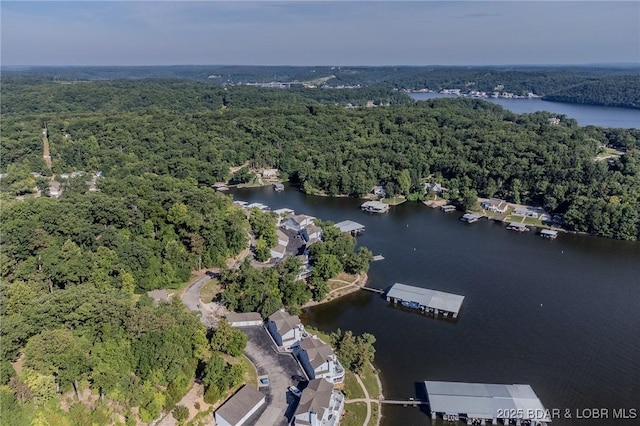 bird's eye view featuring a water view and a wooded view