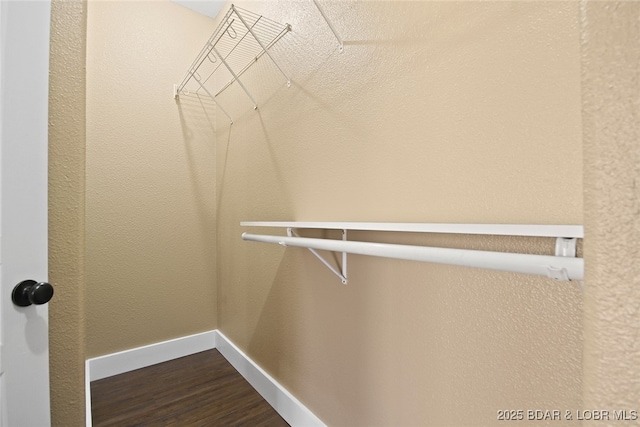 walk in closet featuring dark wood-style flooring