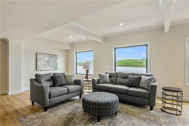 325 Mission Bay Dr, Camdenton, MO 65020 - living area featuring wood finished floors, baseboards, and beamed ceiling