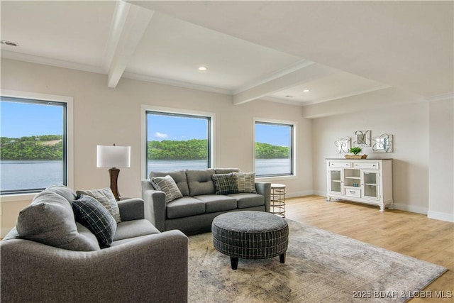 325 Mission Bay Dr, Camdenton, MO 65020 - living area with baseboards, beamed ceiling, and light wood-type flooring