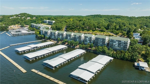 birds eye view of property featuring a water view and a forest view