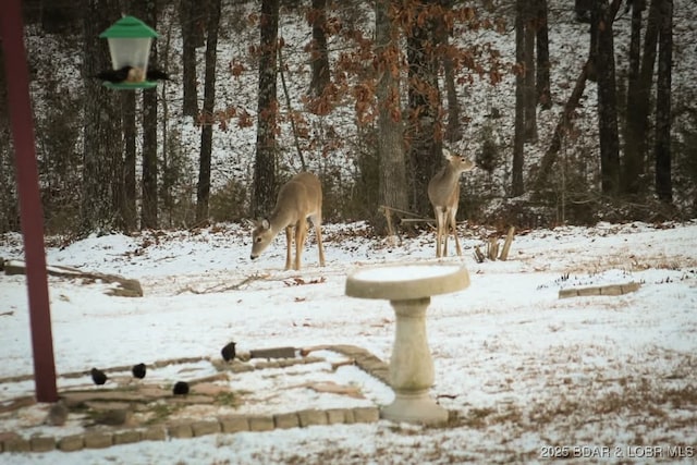 view of snowy yard