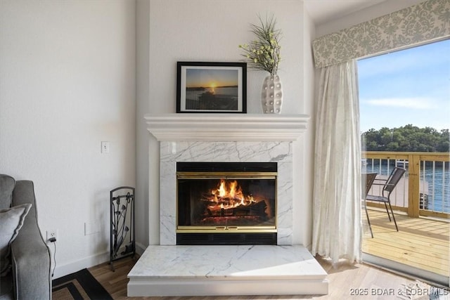 details featuring baseboards, wood finished floors, and a high end fireplace