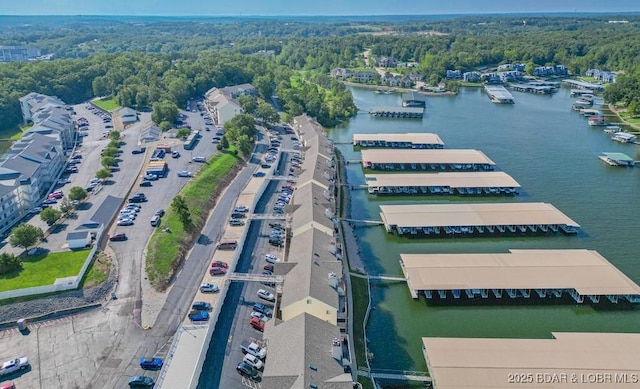 bird's eye view featuring a water view and a wooded view