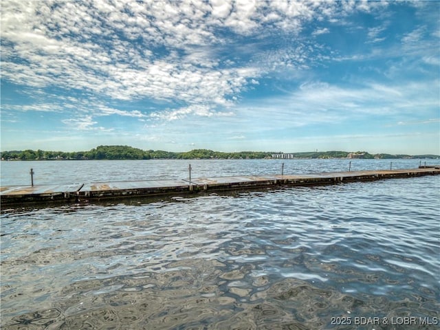 view of dock with a water view