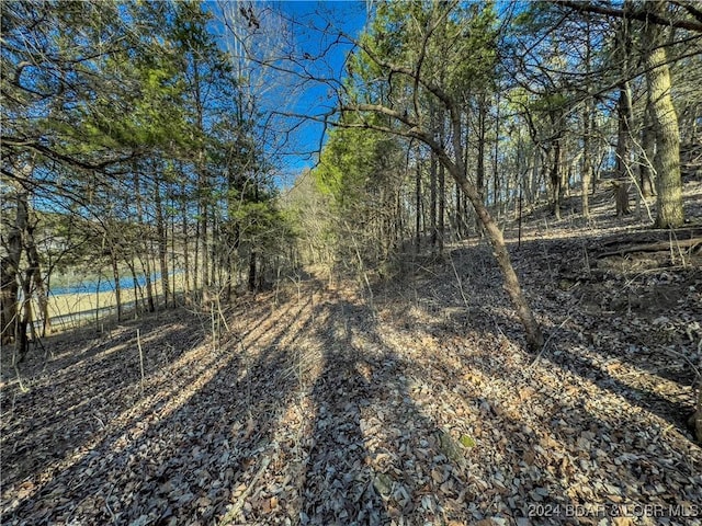 Listing photo 3 for LOT26 Country Ridge Rd, Camdenton MO 65020