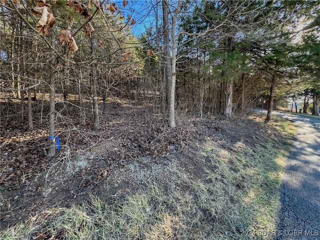 Listing photo 2 for LOT26 Country Ridge Rd, Camdenton MO 65020