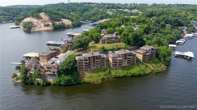 bird's eye view with a water view