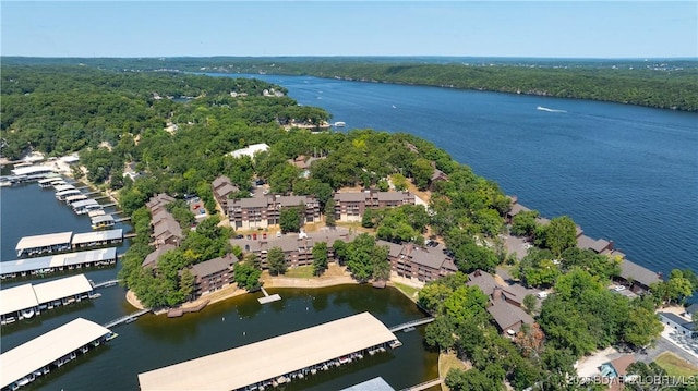 drone / aerial view featuring a forest view and a water view