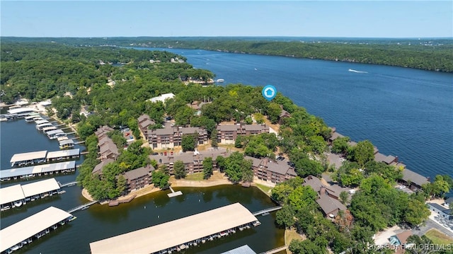 drone / aerial view featuring a water view and a view of trees