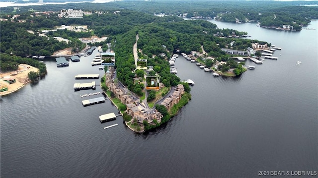 drone / aerial view with a water view